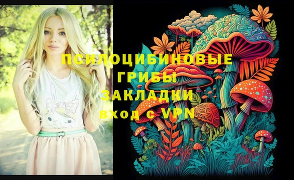 дмт Алексеевка