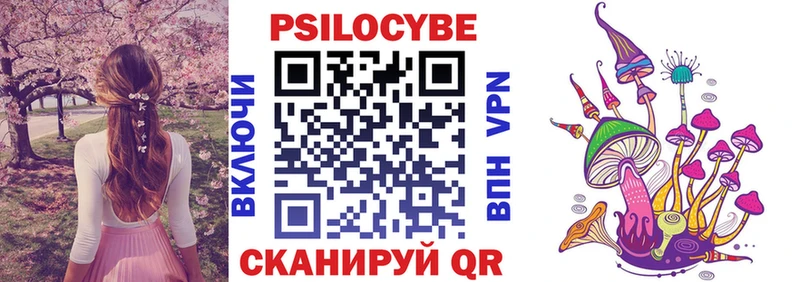 Псилоцибиновые грибы мухоморы  блэк спрут маркетплейс  Кондопога 