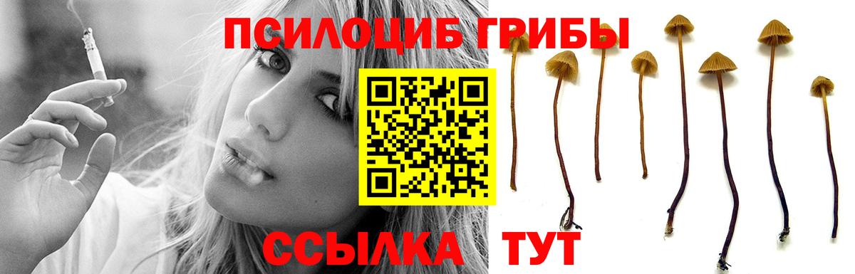 Кондопога  Псилоцибиновые грибы Psilocybine cubensis  Вход с VPN 