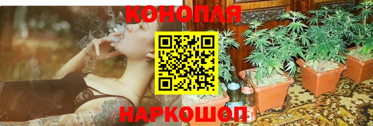 Конопля планчик  Марихуана LSD WEED  Марихуана индика  Вход с VPN  Кондопога 